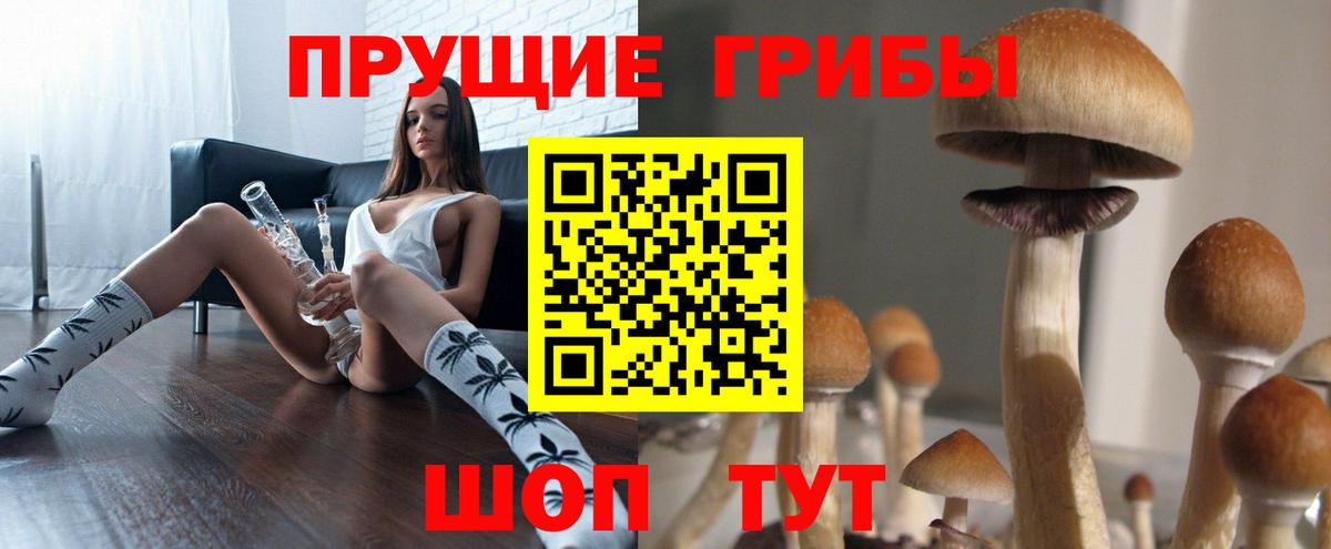 Псилоцибиновые грибы Psilocybine cubensis Гусь-Хрустальный